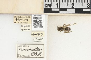 Media type: image;   Entomology 774002 Aspect: Labels